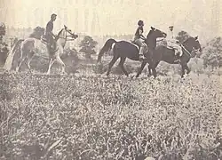 Lipicanci Mihe Frčeja, 1969