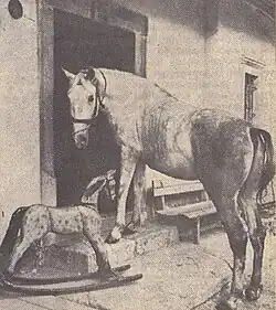 Lipicanci Mihe Frčeja, 1969