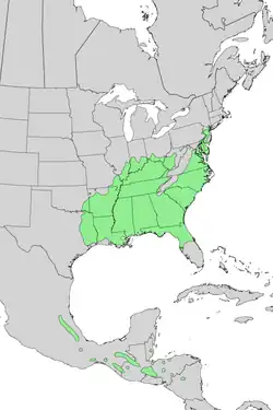 Areál rozšíření