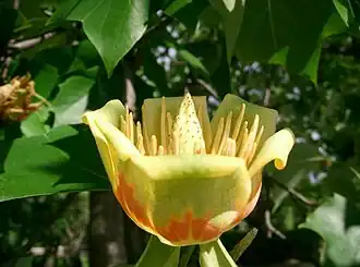 alternativní popis obrázku chybí