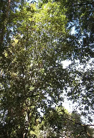 alternativní popis obrázku chybí