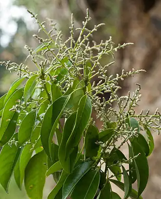 alternativní popis obrázku chybí