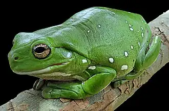 alternativní popis obrázku chybí