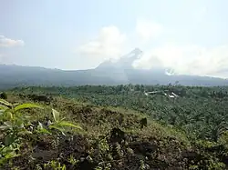 Malá kamerunská hora