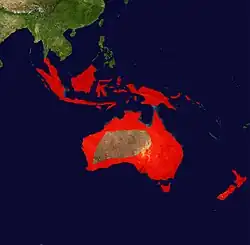 Areál rozšíření