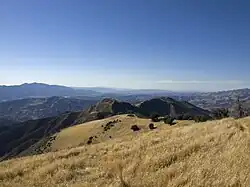 Little Pine Mountain