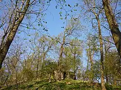 Vrchol se zbytky hradu