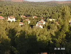 Pohled na zástavbu Livne a okolní lesy