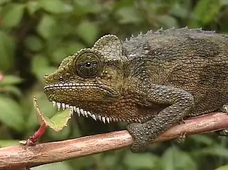 alternativní popis obrázku chybí