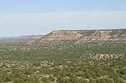 Llano Estacado