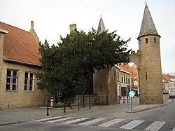 městská brána a Caesarův strom v Lo