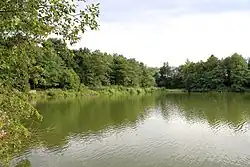 Lochousický rybník