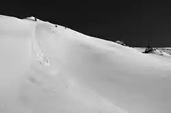 Fotografie laviny z volného sněhu. Ta začíná v jednom bodě horním levém rohu fotografie pod malým smrkem a trojúhelníkovitě se rozšiřuje směrem dolů.