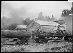 Logs on railway bogies