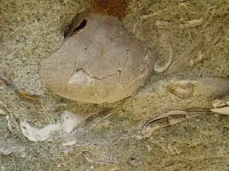 alternativní popis obrázku chybí