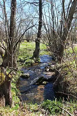 Potok u Horních Tašovic