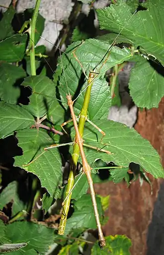 alternativní popis obrázku chybí