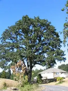 alternativní popis obrázku chybí