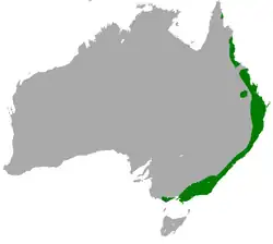 Areál rozšíření