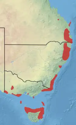 Areál rozšíření