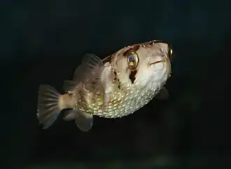 alternativní popis obrázku chybí