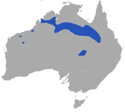 Areál rozšíření