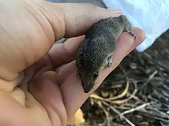 alternativní popis obrázku chybí