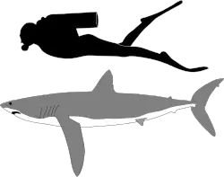 alternativní popis obrázku chybí