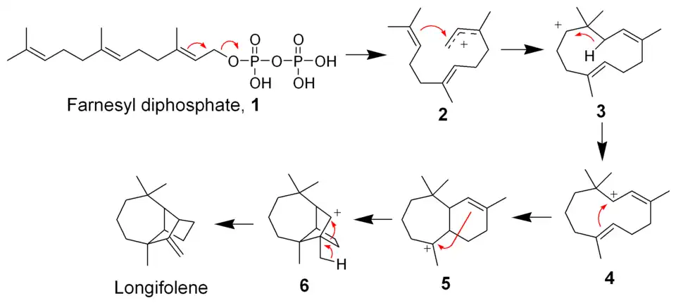 Biosyntéza longifolenu