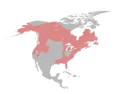 rozšíření vydry severoamerické