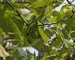 alternativní popis obrázku chybí