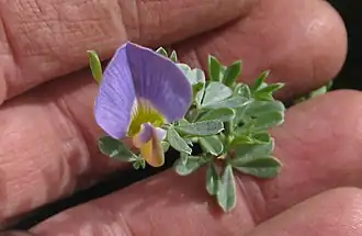 alternativní popis obrázku chybí