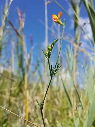 alternativní popis obrázku chybí