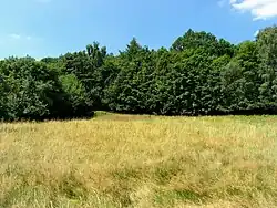 Přírodní park Loučenská hornatina u Háje u Duchcova