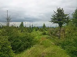 Plochý severní vrchol Loučné