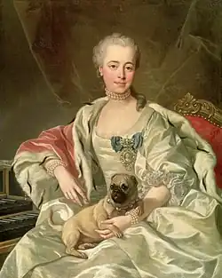 Princezna Jekatěrina Dmitrijevna Golicyna, 1759, Puškinovo muzeum, Moskva