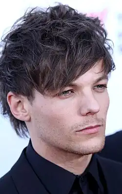 Louis Tomlinson (2014)
