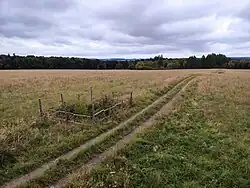 Polní cesta a louka u Schmelzgrabenu