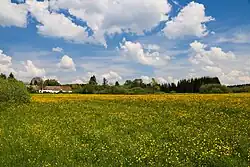 Evropsky významná lokalita V Úličkách