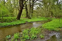 Loupnice jižně od Janova