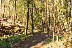 Trasa 7346 v Lovětínské rokli