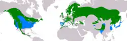 Areál rozšíření