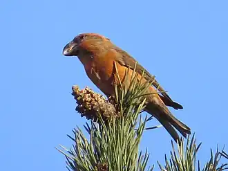 alternativní popis obrázku chybí