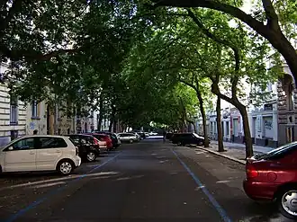 Pohled do ulice s korunami stromů