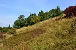 Stráň nad silnicí