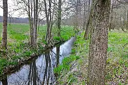 Pod přírodní rezervací Děvín