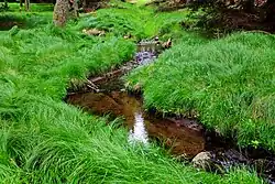 Nad vesnicí Pastviny