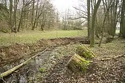 Potok lubí nedaleko Pocoucova pod Syenitovými skalami