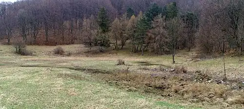 Pohled na suché jezírko od krasového pramene