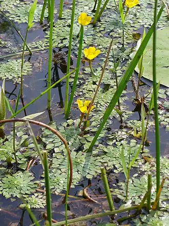 alternativní popis obrázku chybí